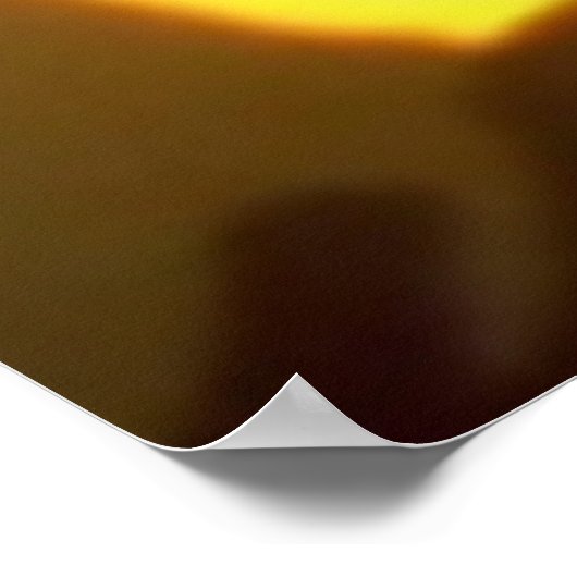 Wilde dieren 217 poster (Hoek)