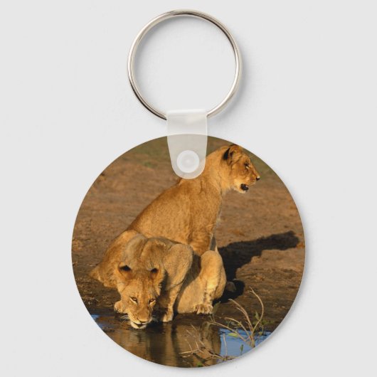 wilde dieren 300 sleutelhanger (Voorkant)