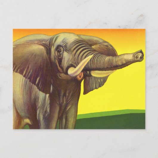  wilde dieren, Afrikaanse olifant met zonsondergan Briefkaart (Voorkant)