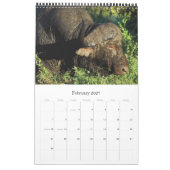 Wilde dieren Afrikaanse safari 2012 Kalender (Feb 2027)