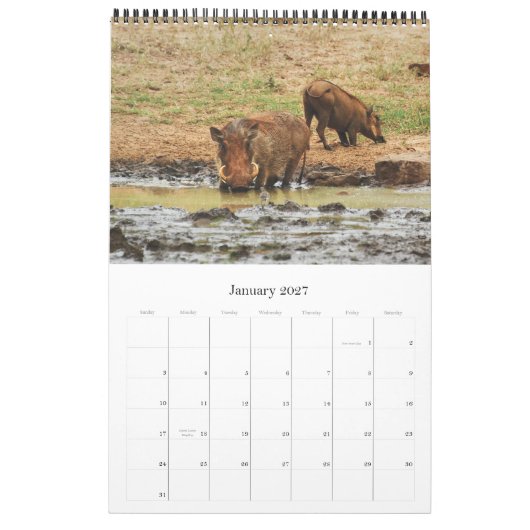 Wilde dieren Afrikaanse safari 2012 Kalender (Jan 2027)