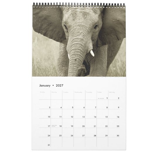 Wilde dieren Afrikaanse safari 2012 Kalender (Jan 2027)