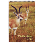 Wilde dieren Afrikaanse safari 2012 Kalender (Hoes)