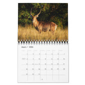 Wilde dieren Afrikaanse safari 2013 Kalender (Mar 2026)