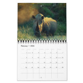 Wilde dieren Afrikaanse safari 2013 Kalender (Feb 2026)