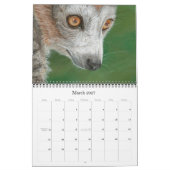 Wilde dieren Art. 2011 kalender van Morgane Antoin (Mar 2027)