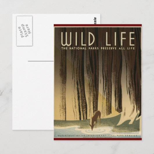 Wilde dieren behouden briefkaart (Voorkant / Achterkant)