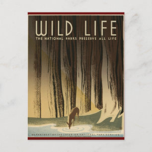 Wilde dieren behouden briefkaart