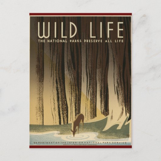 Wilde dieren behouden briefkaart (Voorkant)