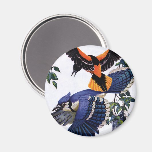  wilde dieren, blauwe jassen die vliegen magneet (Voorkant / Achterkant)