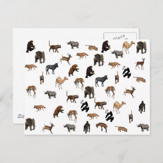 Wilde dieren briefkaart (Voorkant / Achterkant)