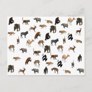 Wilde dieren briefkaart