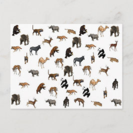 Wilde dieren briefkaart