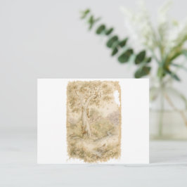 Wilde dieren briefkaart
