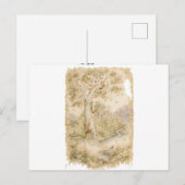 Wilde dieren briefkaart (Voorkant / Achterkant)