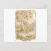 Wilde dieren briefkaart (Voorkant)