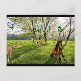 Wilde dieren briefkaart
