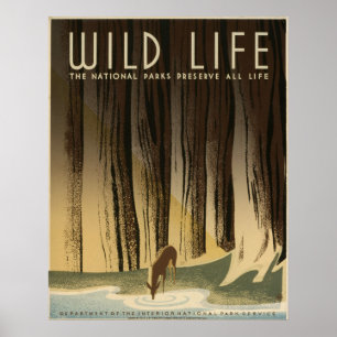 Wilde dieren De nationale parken behouden het hele Poster