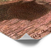  wilde dieren, egel van Louis Sargent Poster (Hoek)