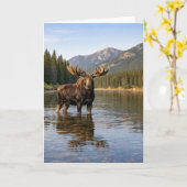 Wilde dieren Eland Berg Rivier Kaart (Gele Bloem)
