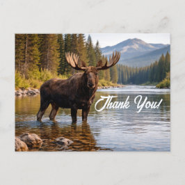Wilde Dieren Eland Onherbergzaamheid Rivier Dank U Briefkaart
