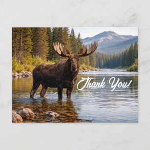 Wilde Dieren Eland Onherbergzaamheid Rivier Dank U Briefkaart