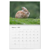 Wilde dieren en natuur kalender (Feb 2027)