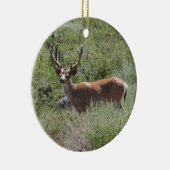 Wilde dieren, ezelherten, naturen, ornamenten (Rechts)