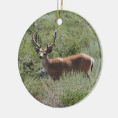 Wilde dieren, ezelherten, naturen, ornamenten (Links)