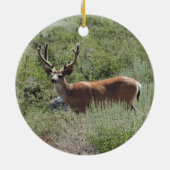 Wilde dieren, ezelherten, naturen, ornamenten (Achterkant)