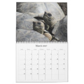 Wilde dieren Galapagos 2025 Kalender (Mar 2027)