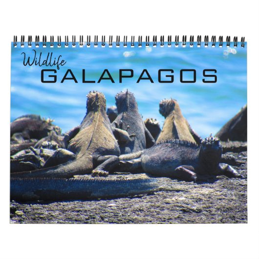 Wilde dieren Galapagos 2025 Kalender (Hoes)