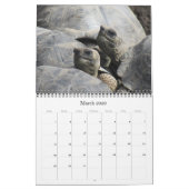Wilde dieren Galapagos 2025 Kalender (Mar 2026)