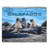 Wilde dieren Galapagos 2025 Kalender (Hoes)
