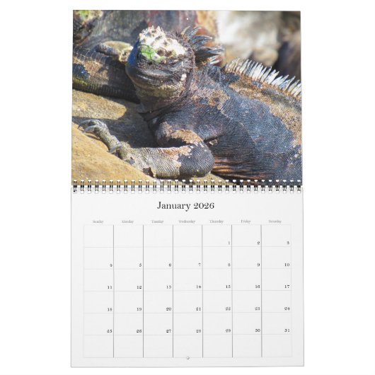 Wilde dieren Galapagos 2025 Kalender (Jan 2026)