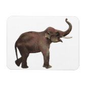  wilde dieren, goede luipende Aziatische olifanten Magneet (Horizontaal)