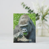 WILDE DIEREN - GORILLAS BRIEFKAART (Staand voorkant)