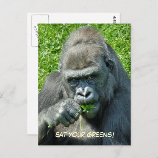 WILDE DIEREN - GORILLAS BRIEFKAART (Voorkant / Achterkant)