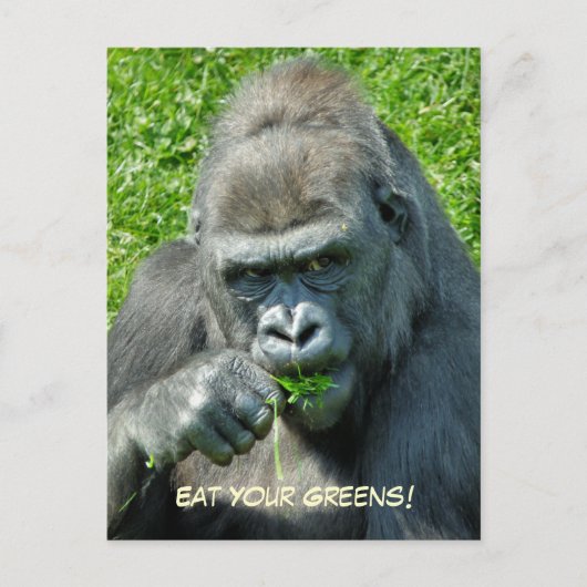 WILDE DIEREN - GORILLAS BRIEFKAART (Voorkant)