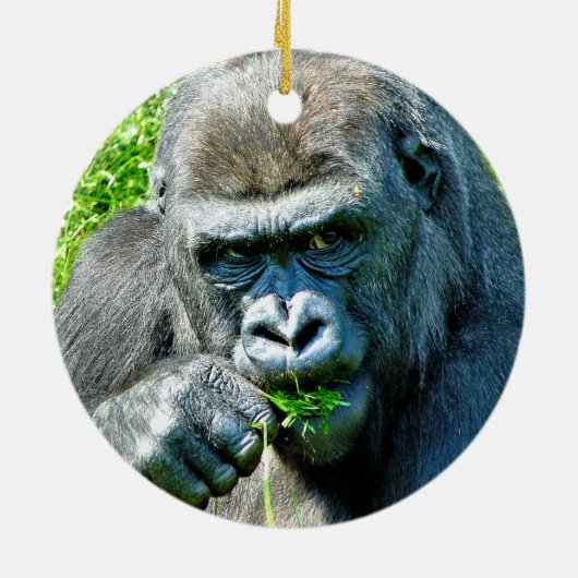 WILDE DIEREN - GORILLAS KERAMISCH ORNAMENT (Achterkant)