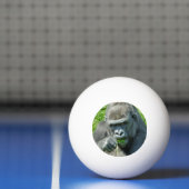 WILDE DIEREN - GORILLAS PINGPONGBAL (Net)