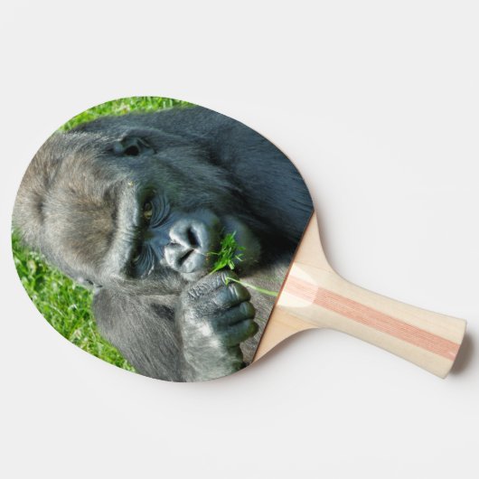WILDE DIEREN - GORILLAS TAFELTENNISBATJE (Zijkant)
