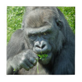 WILDE DIEREN - GORILLAS TEGELTJE (Voorkant)