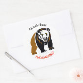 Wilde dieren Grizzly BEER - Bedreigd - Wildlife - Ronde Sticker (Envelop)