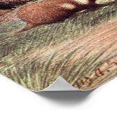  wilde dieren, Hamsters van Louis Sargent Poster (Hoek)