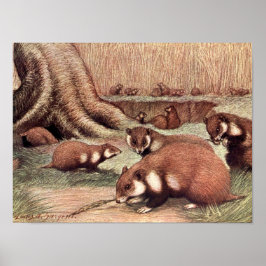  wilde dieren, Hamsters van Louis Sargent Poster
