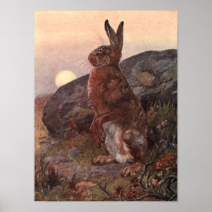 wilde dieren, hazen van Winifred Austen Poster