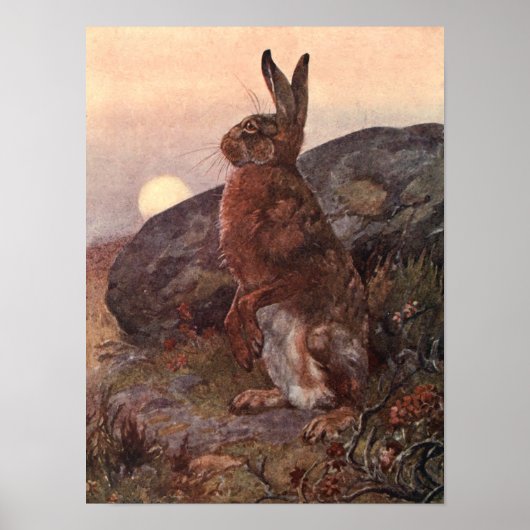  wilde dieren, hazen van Winifred Austen Poster (Voorkant)