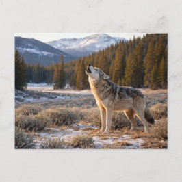 Wilde Dieren Huilende Grijze Wolf Briefkaart