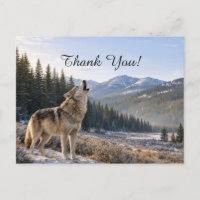 Wilde Dieren Huilende Grijze Wolf Scène Dank U